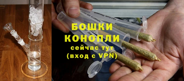 индика Армянск