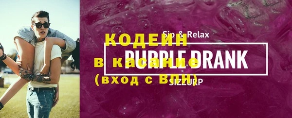 индика Армянск
