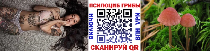 MEGA зеркало  Белорецк  Псилоцибиновые грибы мухоморы  цена наркотик 